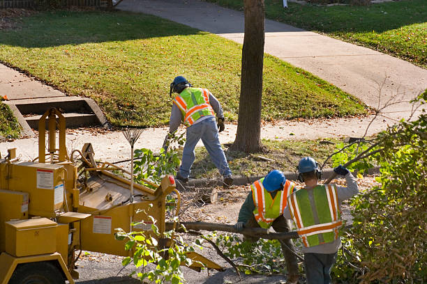 Best Tree Mulching  in Underwood, IA